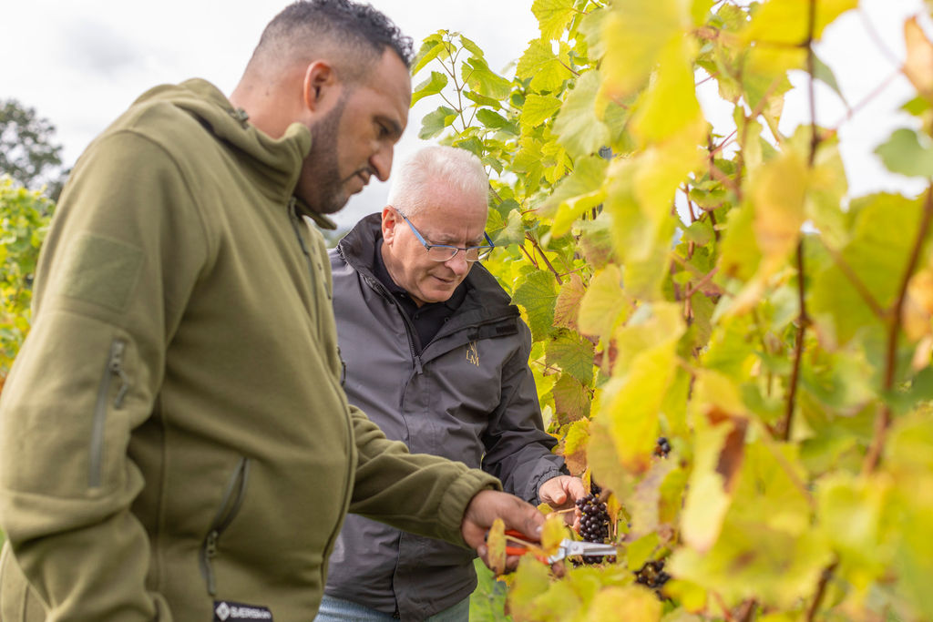 Michael Caines and Steve Edwards in the Lympstone Manor Vineyard