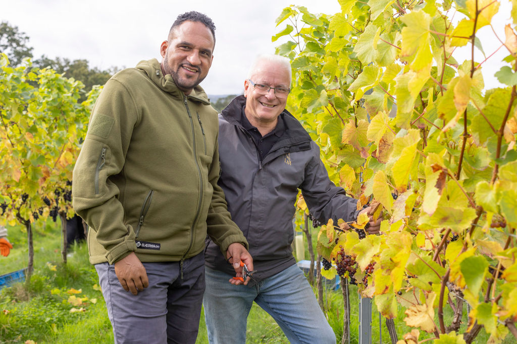 Michael Caines MBE, Chef Owner, and Steve Edwards, Operations Director and Vineyard Manager, in the Lympstone Manor Estate Vineyard at harvest.