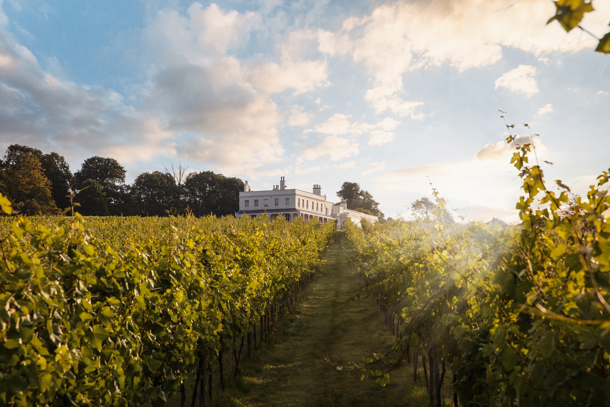 Lympstone Manor Hotel and Vineyard at sunrise in the summer
