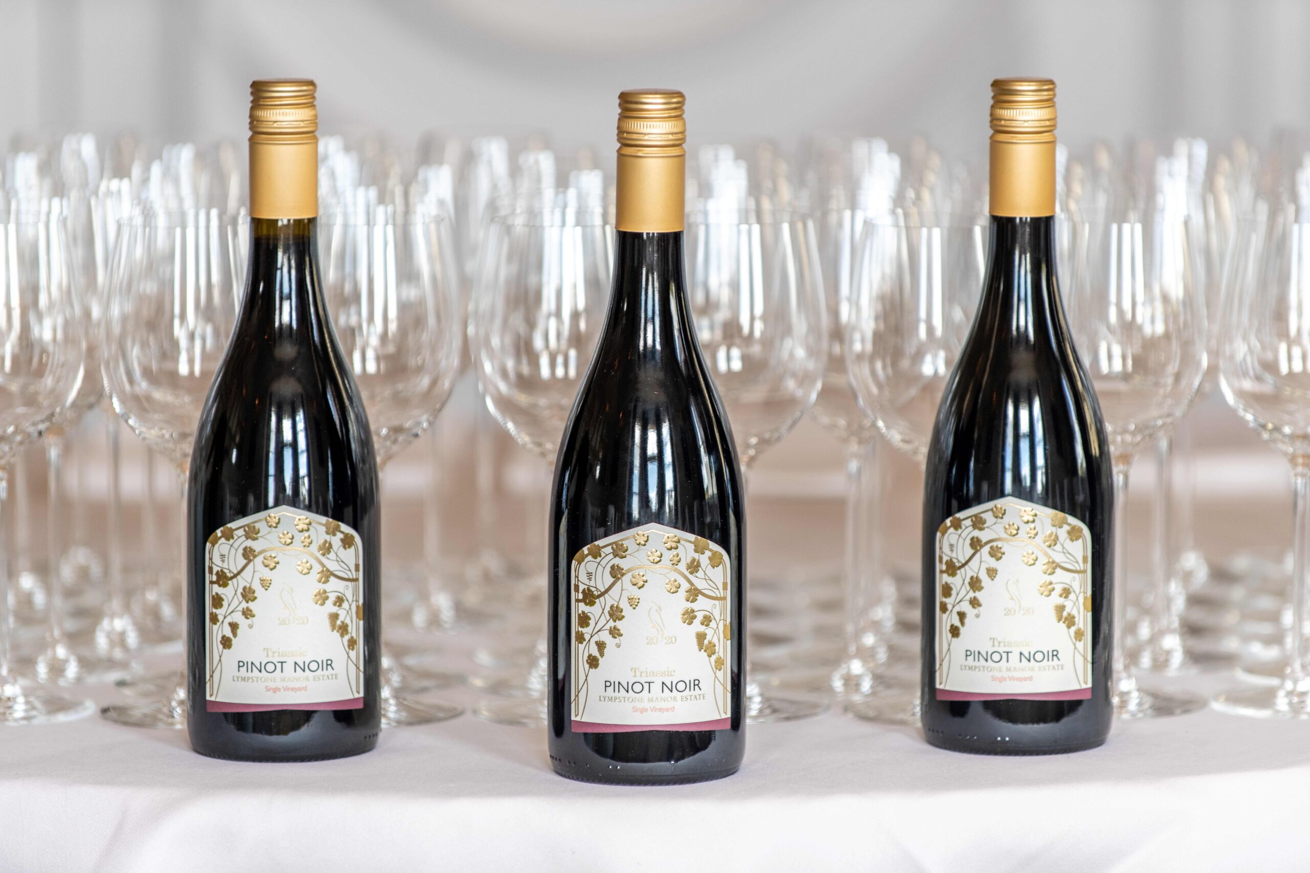 Wine tasting event with Triassic Pinot Noir at Lympstone Manor Hotel