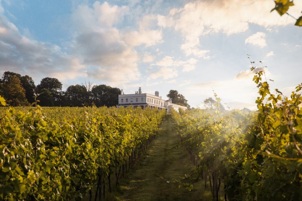 Lympstone Manor Hotel and Vineyard